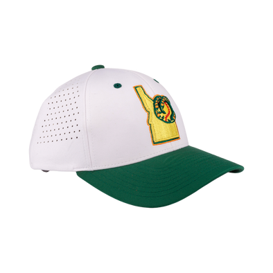 BOISE HAWKS ADVENT FLEX FIT HAT