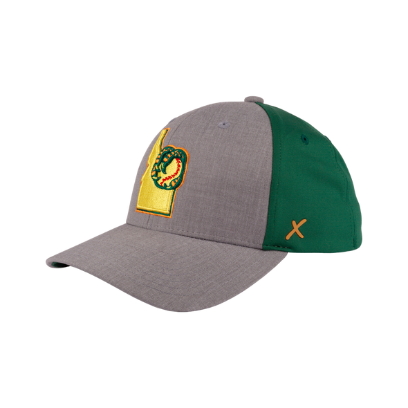 BOISE HAWKS FLINT FLEX FIT HAT