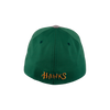 BOISE HAWKS FLINT FLEX FIT HAT