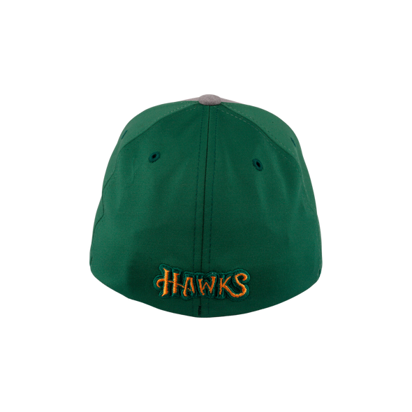BOISE HAWKS FLINT FLEX FIT HAT