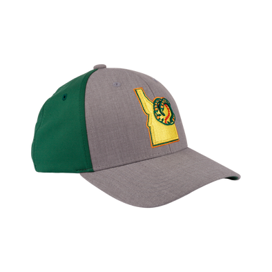 BOISE HAWKS FLINT FLEX FIT HAT