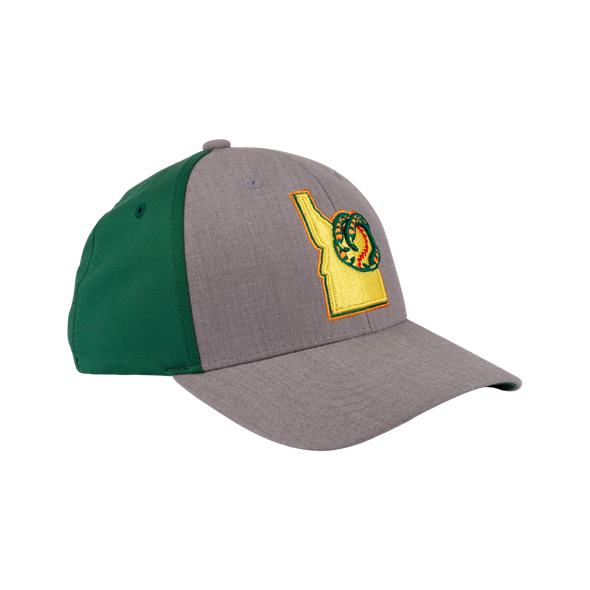 BOISE HAWKS FLINT FLEX FIT HAT