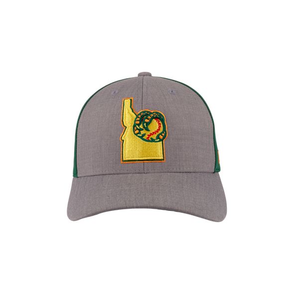 BOISE HAWKS FLINT FLEX FIT HAT
