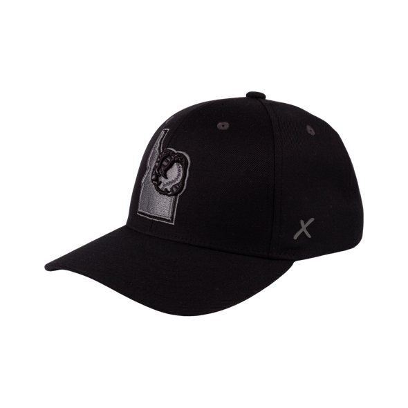 BOISE HAWKS STATE LOGO BLACK OUT FLEX FIT HAT