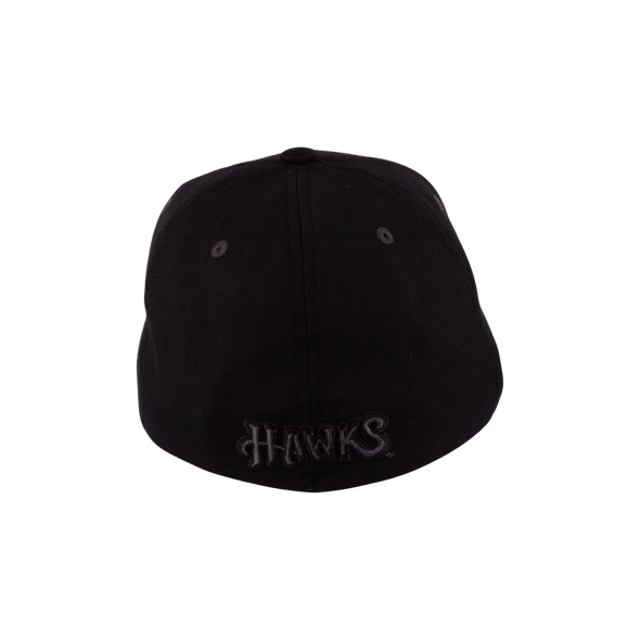 BOISE HAWKS STATE LOGO BLACK OUT FLEX FIT HAT