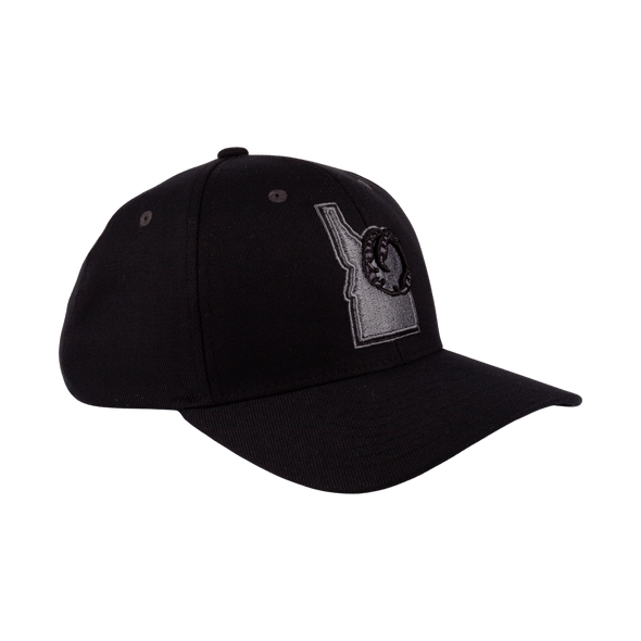 BOISE HAWKS STATE LOGO BLACK OUT FLEX FIT HAT