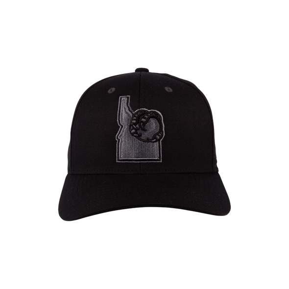 BOISE HAWKS STATE LOGO BLACK OUT FLEX FIT HAT